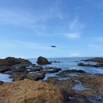 秋谷の立石空撮